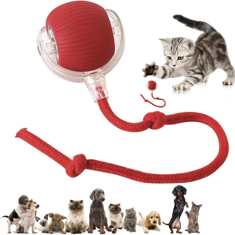 Automatic Dog/Cat Teaser Ball