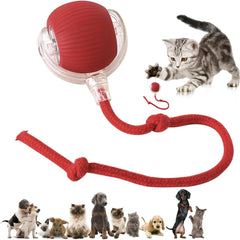 Automatic Dog/Cat Teaser Ball