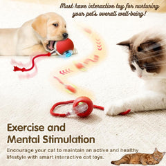 Automatic Dog/Cat Teaser Ball