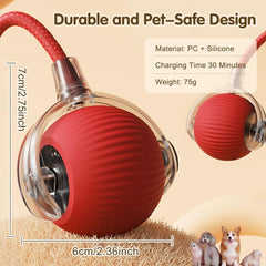 Automatic Dog/Cat Teaser Ball
