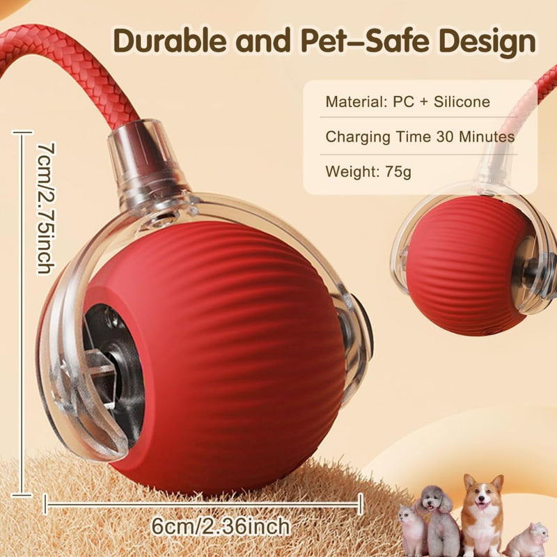 Automatic Dog/Cat Teaser Ball